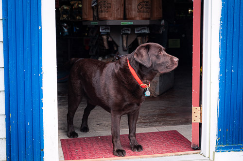 Boothbay Harbor, ME - May 2025